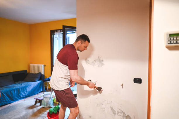 Best Commercial Mold Remediation in Baldwin Park, CA